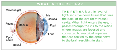 Overcoming Retinal Diseases: Can the Retina Heal Itself