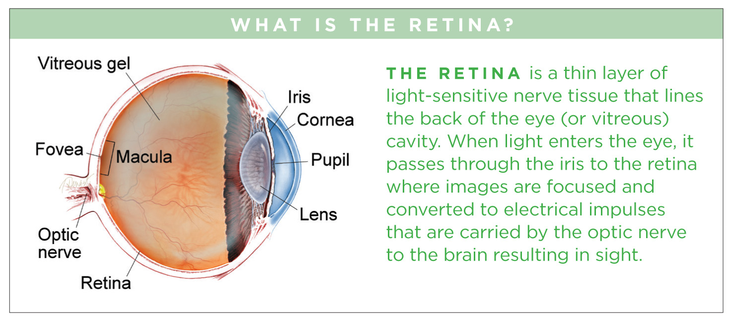 Retina Problems: Warning Signs You May Have a Retinal Disease